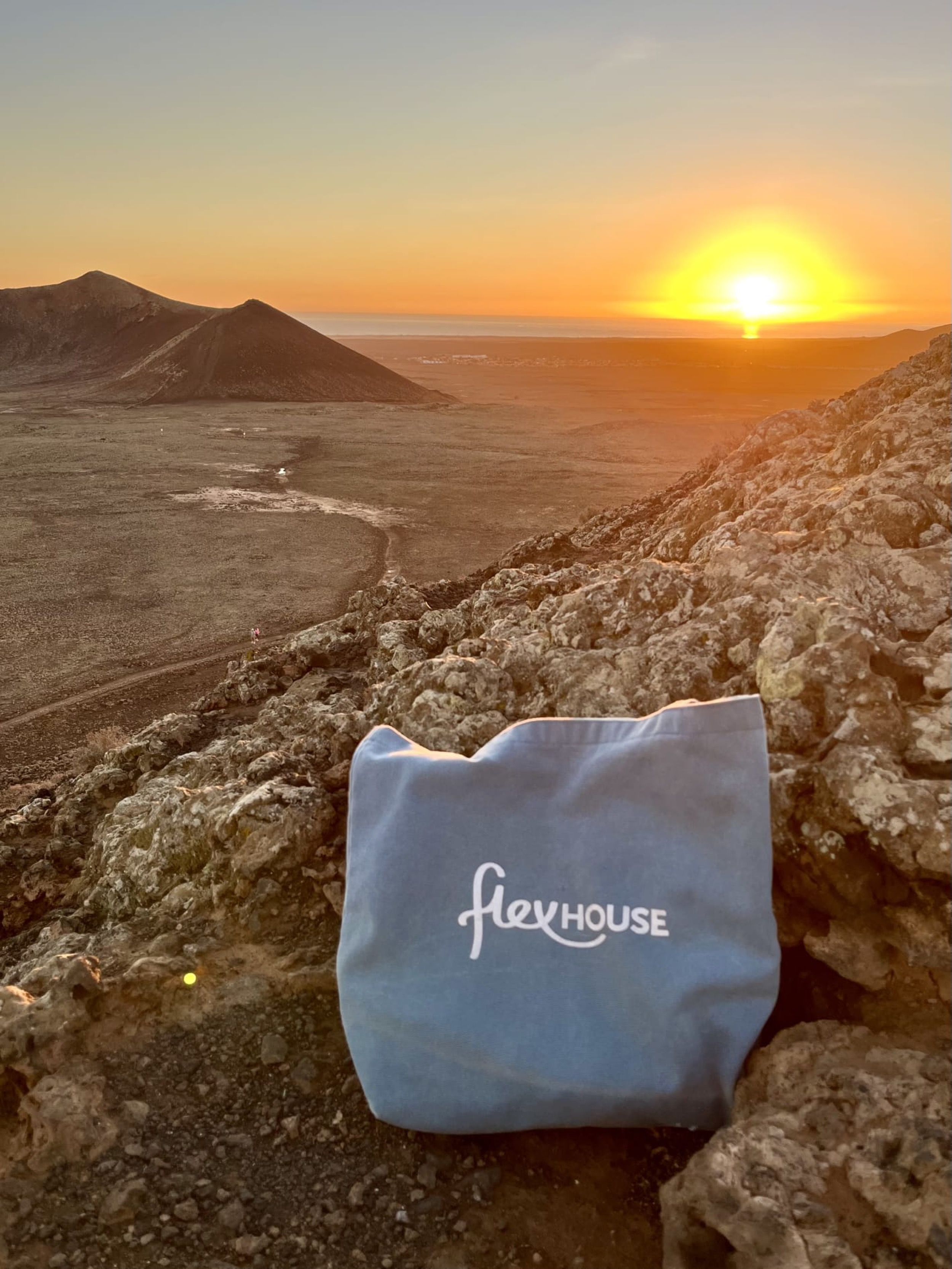 Flexhouse-tote-bag-photo-contest-2025_1st-place-(2)