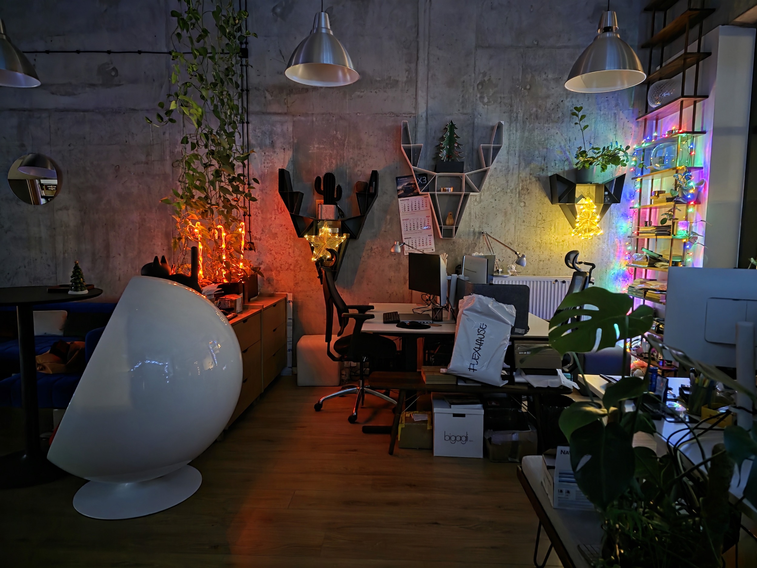 Flexhouse xmas newyear 2025 3