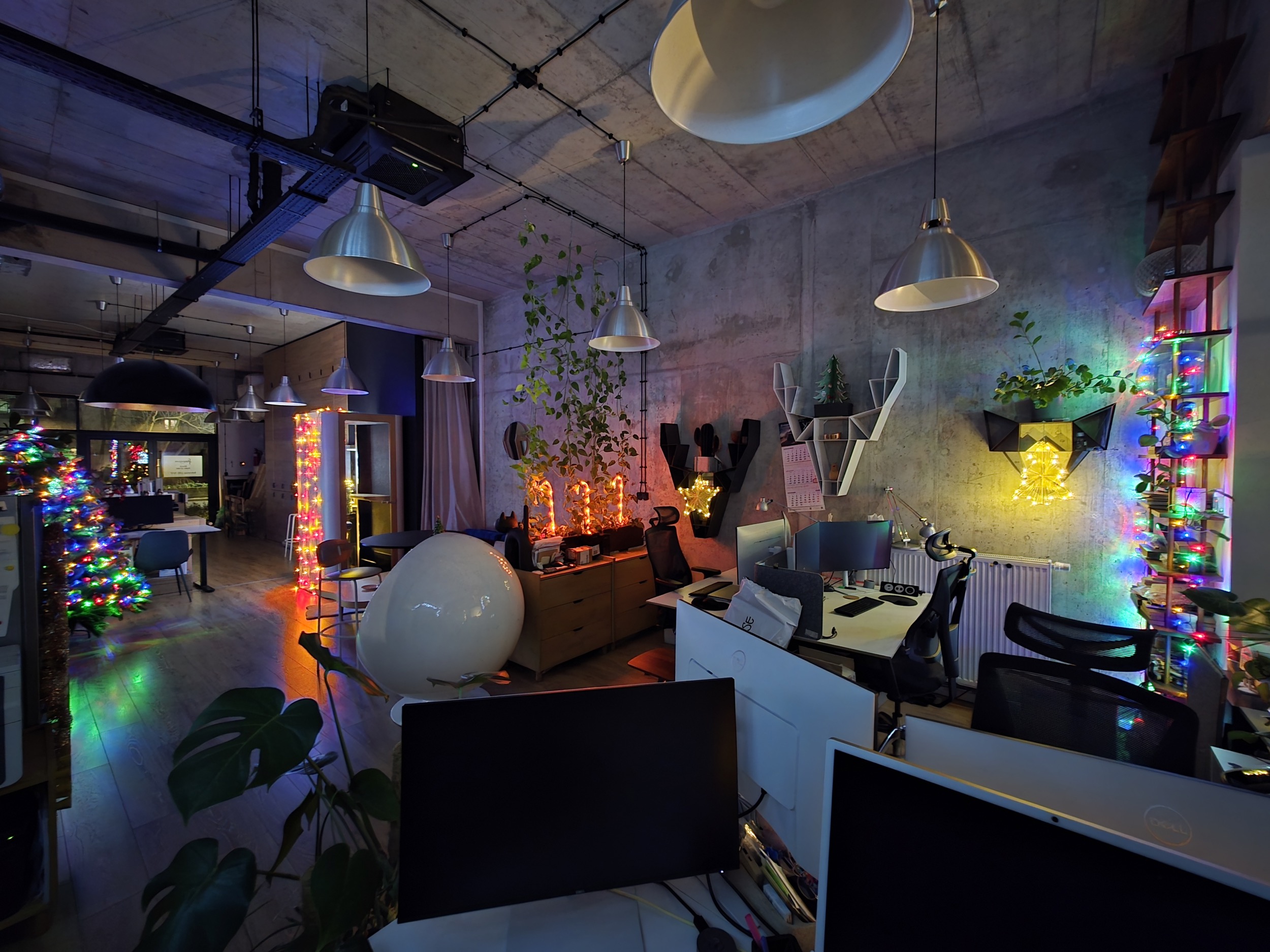 Flexhouse xmas newyear 2025 4