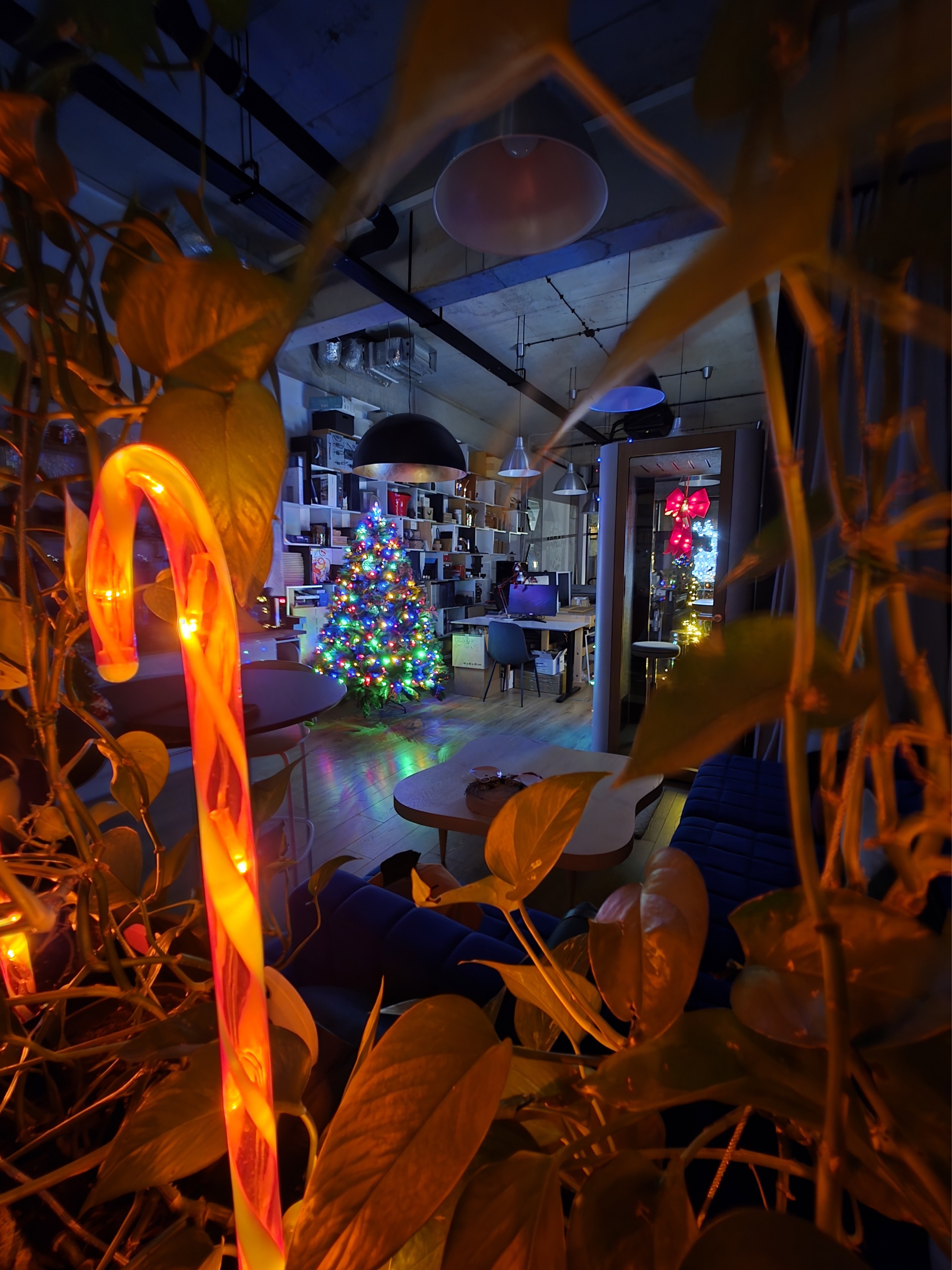 Flexhouse-xmas-newyear-2025-6