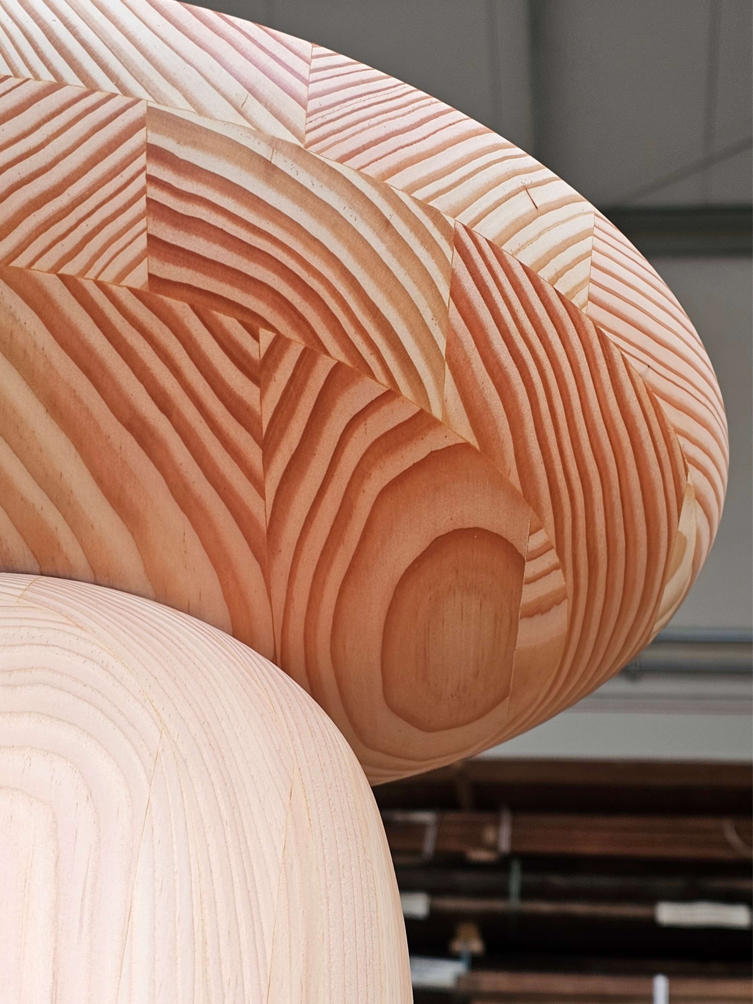 Material-Douglas-Fir-in-Designer-Products-Flexhouse-2