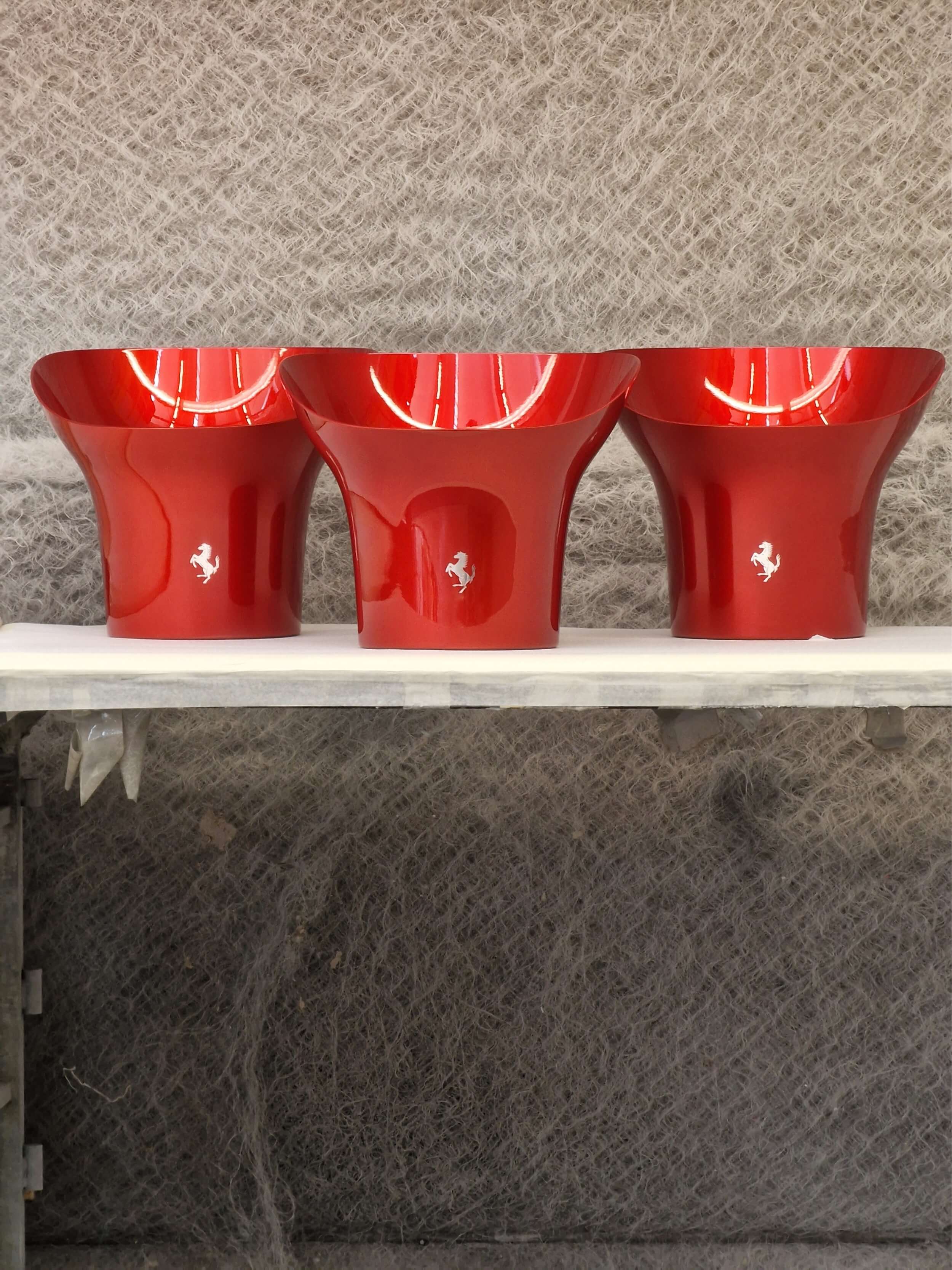 Production-of-Ferrari-Cooler-Flexhouse-72