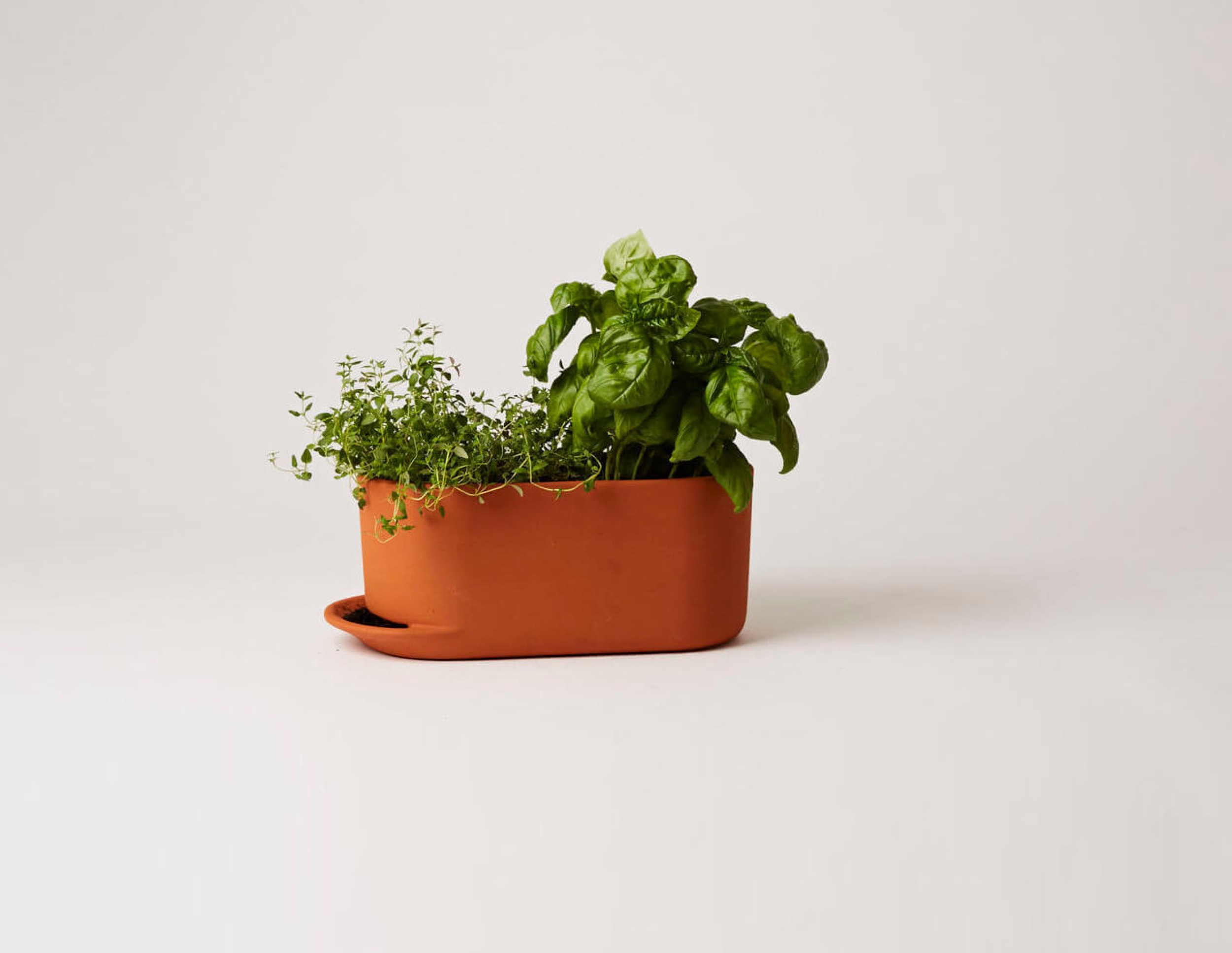 product_development_plant pot